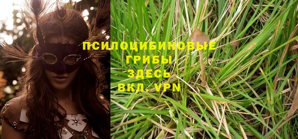 бошки Медвежьегорск