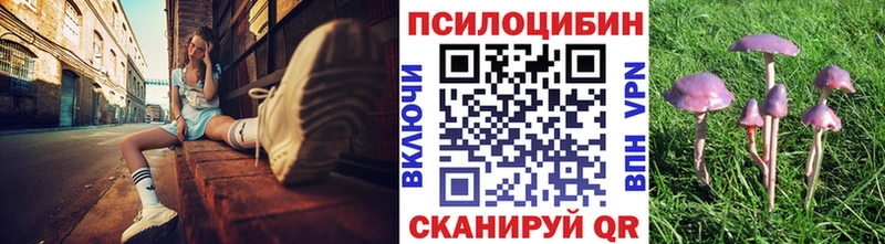 Псилоцибиновые грибы Magic Shrooms  Купить закладки  Северская 